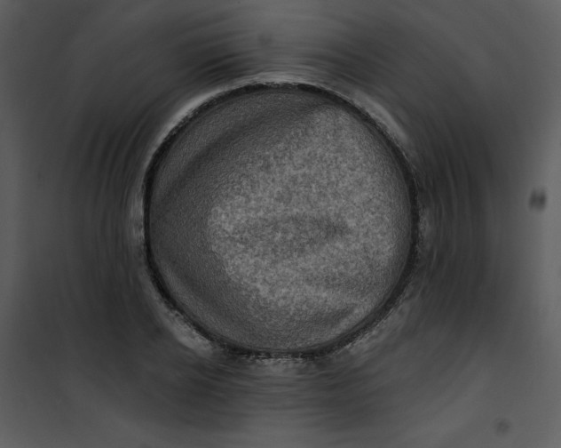 X0000101160934200807181355