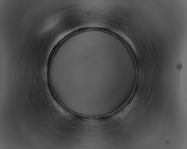 X0000101160935200807181355