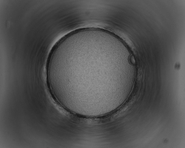 X0000101160936200807181355