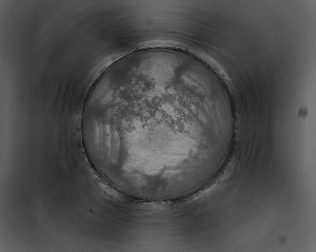 X0000101160937200807181355