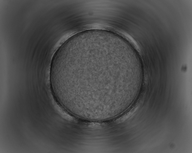 X0000101160938200807181355