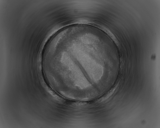 X0000101160939200807181355