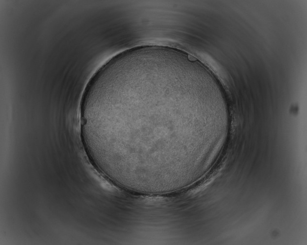 X0000101160940200807181355