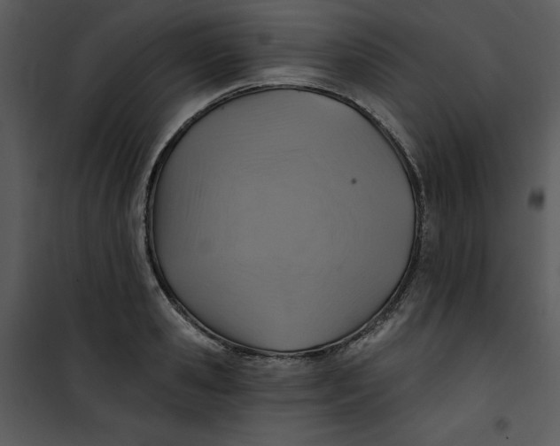 X0000101160941200807181355