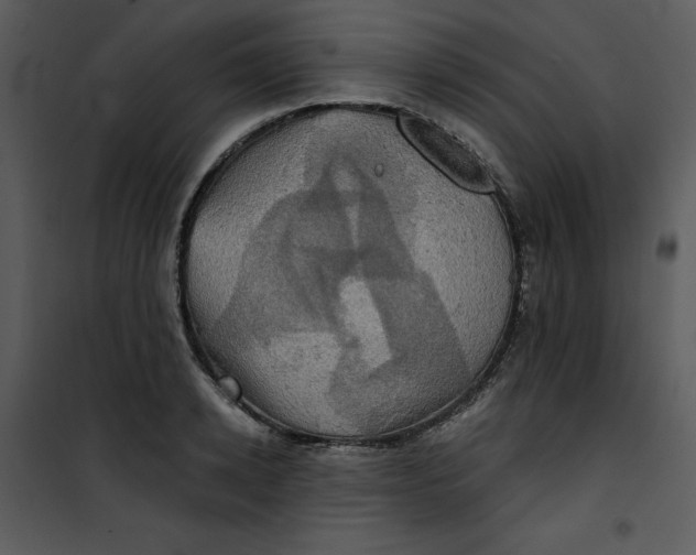 X0000101160942200807181355