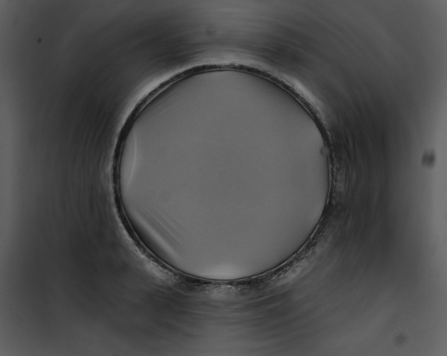 X0000101160943200807181355