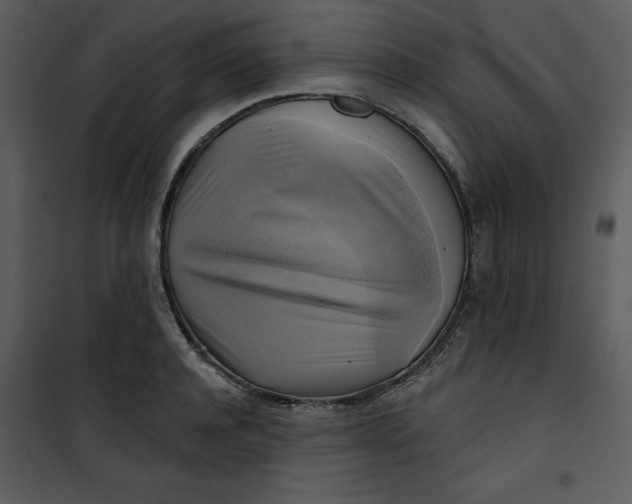 X0000101160944200807181355