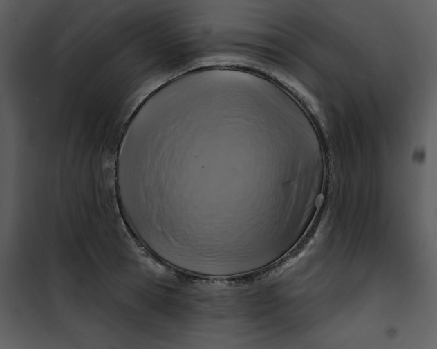 X0000101160945200807181355