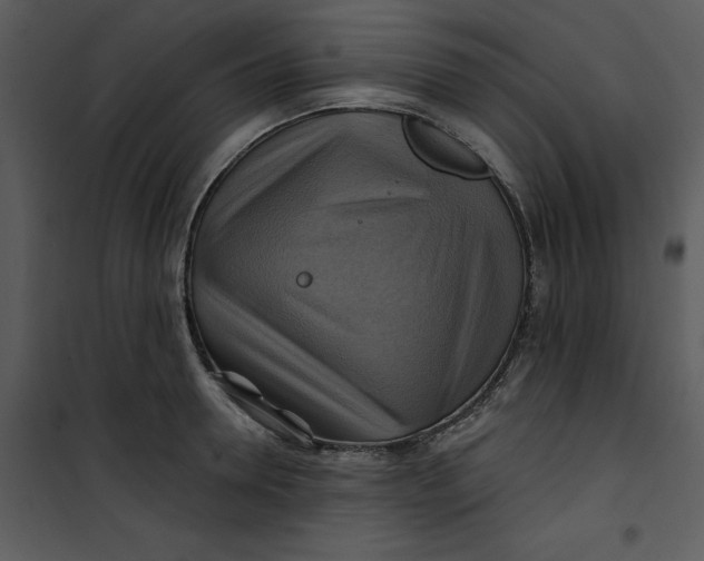 X0000101160946200807181355