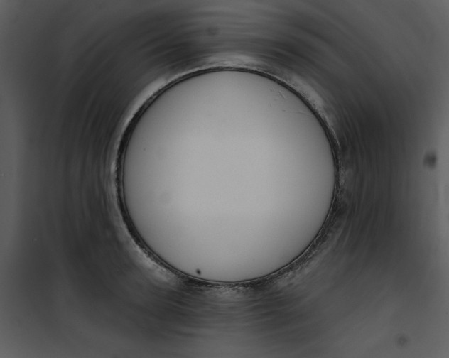 X0000101160947200807181355