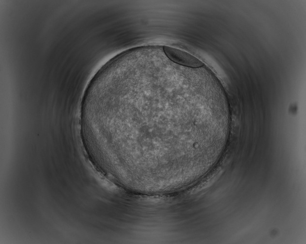 X0000101160948200807181355