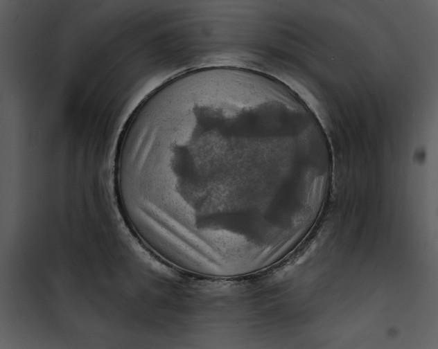 X0000101160949200807181355