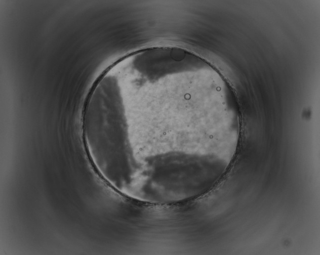 X0000101160950200807181355