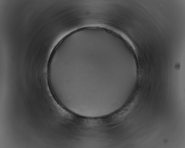 X0000101160951200807181355