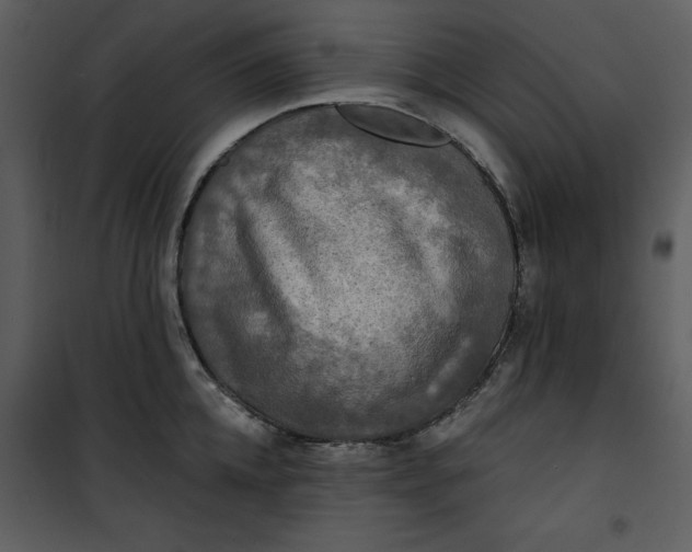 X0000101160952200807181355