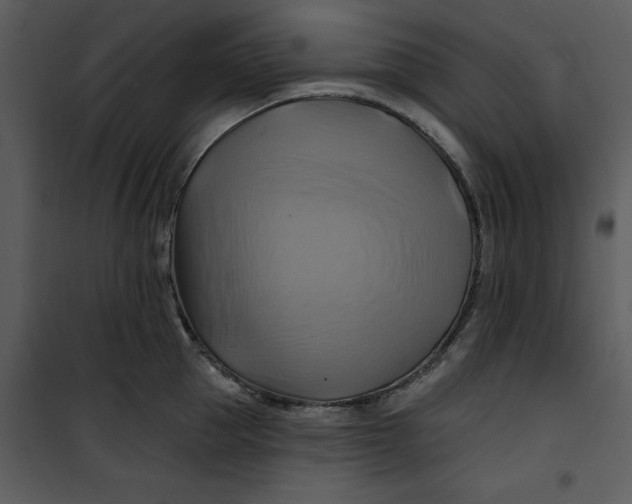 X0000101160953200807181355