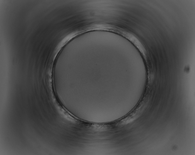 X0000101160954200807181355