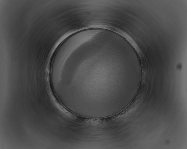 X0000101160955200807181355