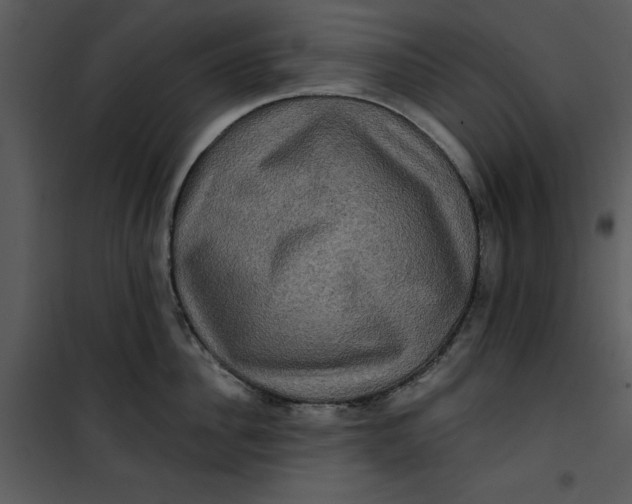 X0000101160956200807181355