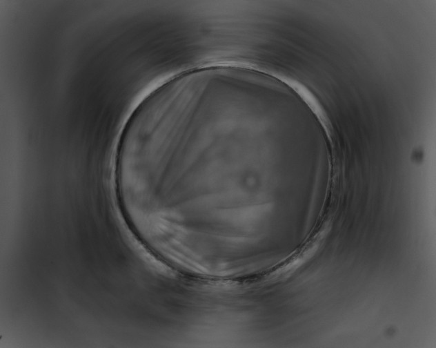 X0000101160957200807181355