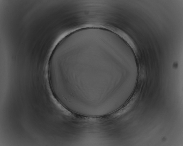 X0000101160958200807181355