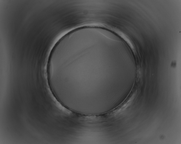 X0000101160959200807181355