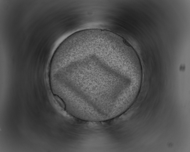 X0000101160960200807181355