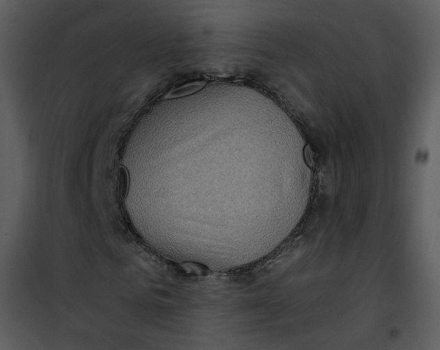 X0000101160961200807181354