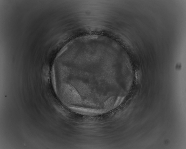 X0000101160963200807181354