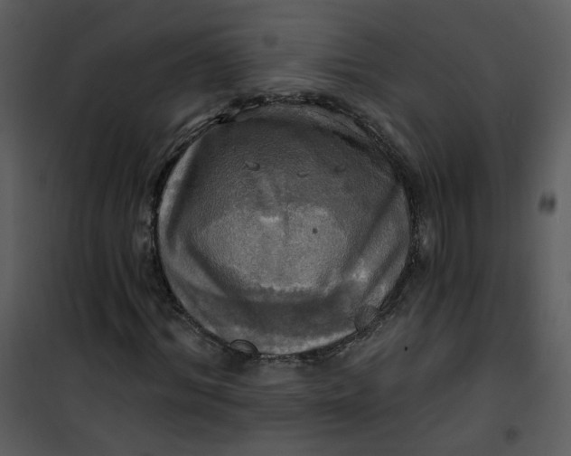 X0000101160964200807181354