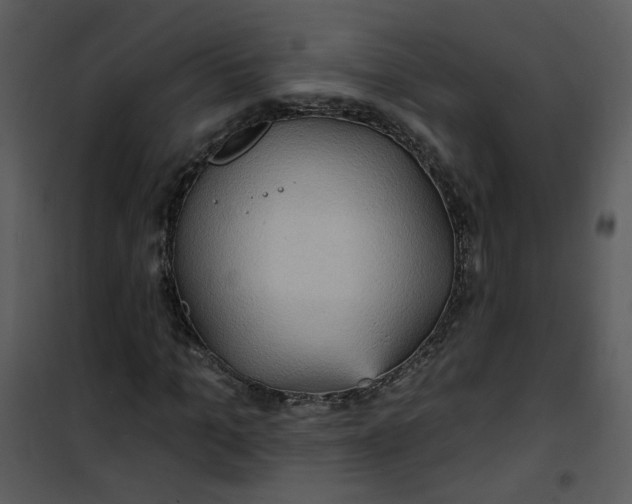 X0000101160965200807181354