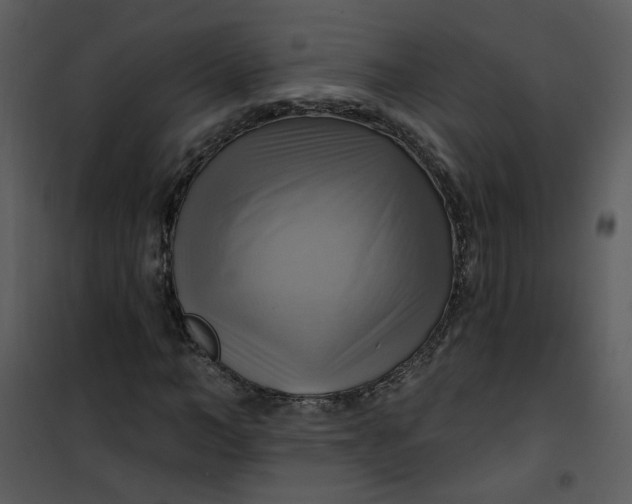 X0000101160966200807181354