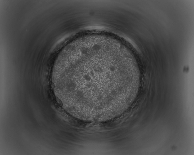 X0000101160967200807181354