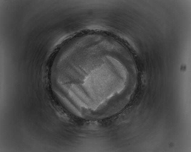 X0000101160968200807181354