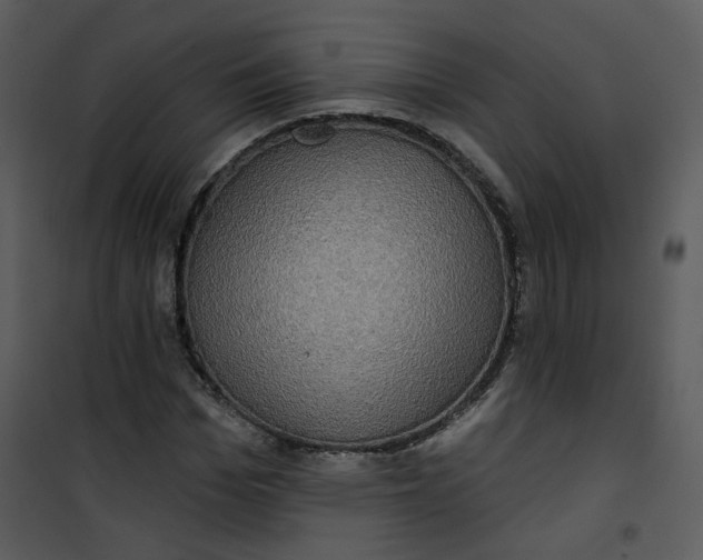 X0000101160969200807181354