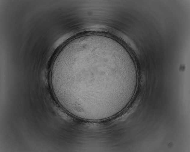 X0000101160970200807181354