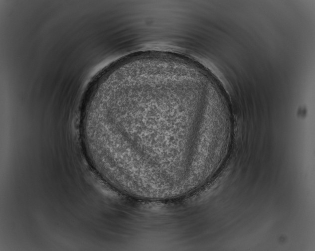 X0000101160971200807181354