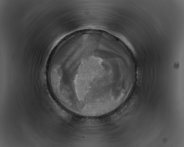 X0000101160972200807181354