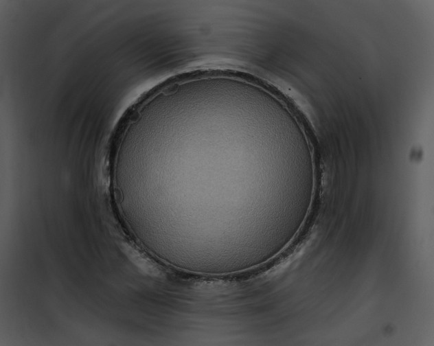 X0000101160973200807181354