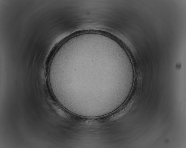 X0000101160974200807181354