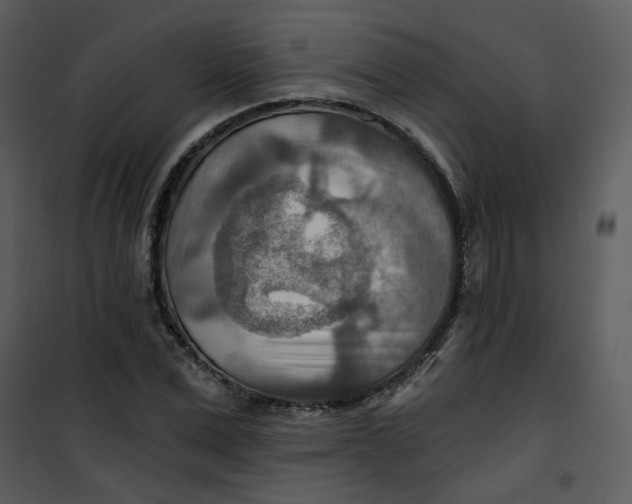 X0000101160975200807181354