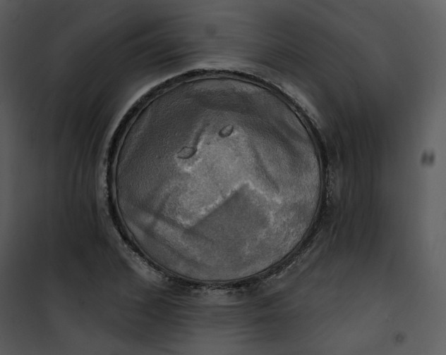 X0000101160976200807181354