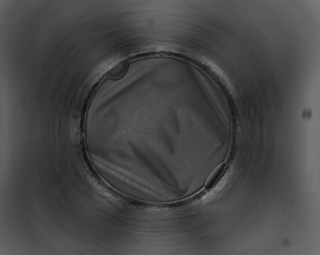 X0000101160977200807181354