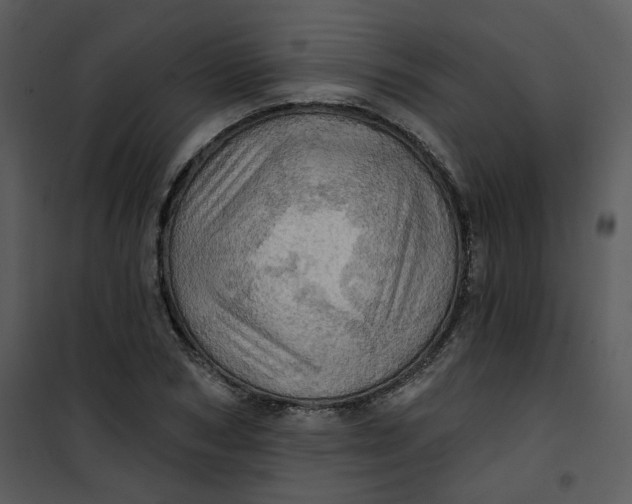 X0000101160978200807181354