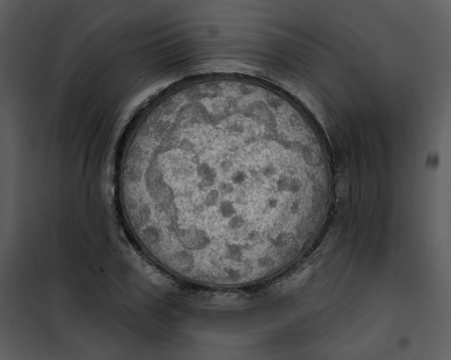 X0000101160979200807181354