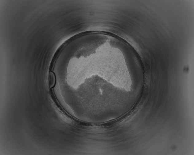 X0000101160980200807181354