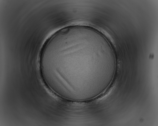 X0000101160981200807181354