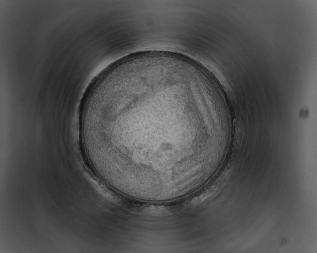 X0000101160982200807181354