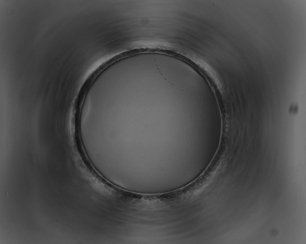 X0000101160983200807181354