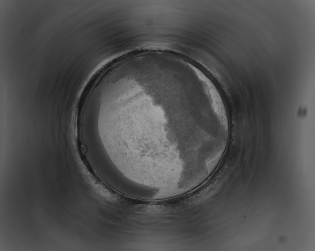 X0000101160984200807181354